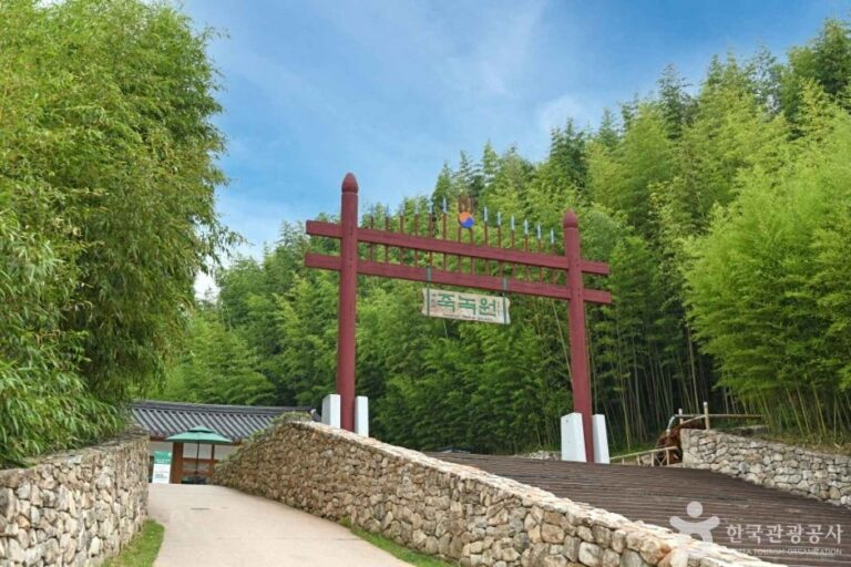 [Jeollanam-do] Jardín del Bambú Juknokwon (죽녹원)