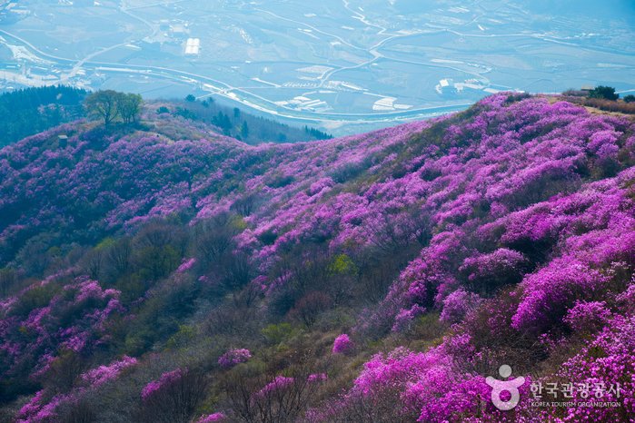 [Jeollanam-do] Monte Yeongchwisan en Yeosu (영취산 (여수))