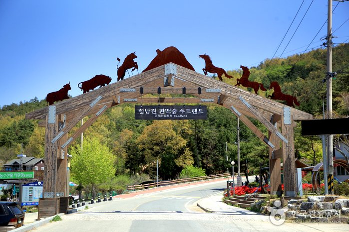 [Jeollanam-do] Cypress Forest Woodland de Jeongnamjin (정남진 편백숲 우드랜드)