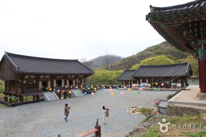 [Jeollanam-do] Templo Yongcheonsa en Hampyeong (용천사(함평))