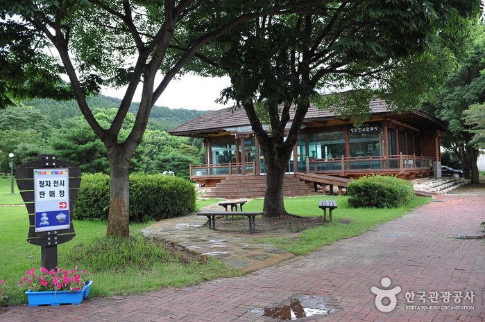[Jeollanam-do] Taller de Cerámica de Gangjin (강진 고려청자 요지)