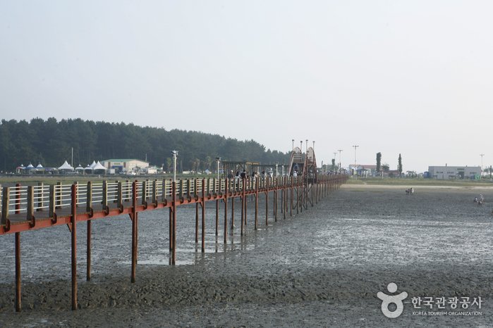 [Jeollanam-do] Isla Jeungdo en Sinan (Cittaslow) (전남 신안 증도 [슬로시티])