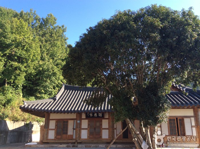 [Jeollanam-do] Templo Heungnyunsa en Suncheon (흥륜사(순천))