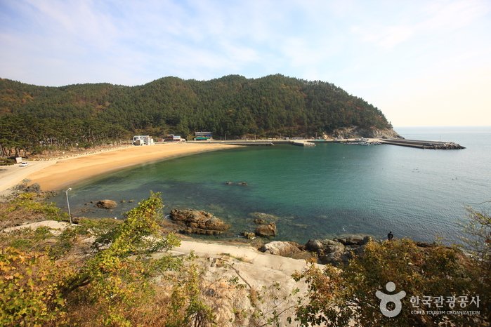 [Jeollanam-do] Playa Bangjukpo (방죽포해변)