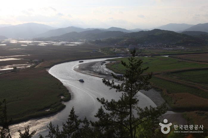 [Jeollanam-do] Observatorio Yongsan de la Bahía Suncheonman (순천만 용산전망대 (S자 물길))