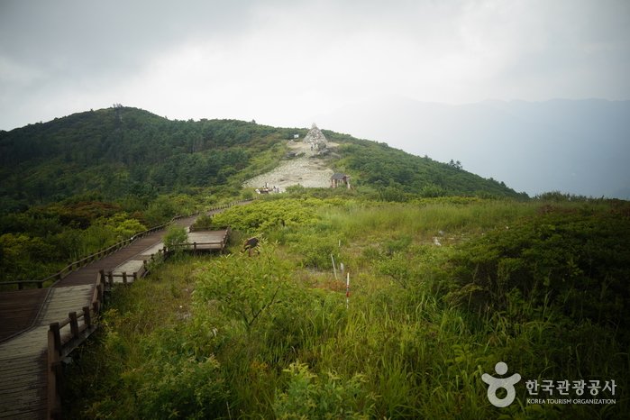 [Jeollanam-do] Parque Nacional del Monte Jirisan (Nogodan) (지리산국립공원(지리산 노고단))