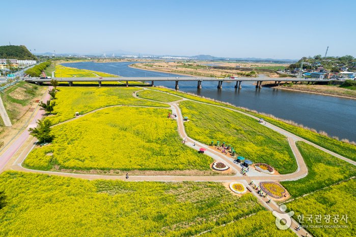 [Jeollanam-do] Río Yeongsangang (영산강)