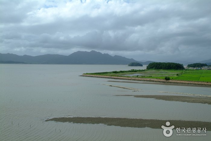 [Jeollanam-do] Bahía Gangjinman (강진만)