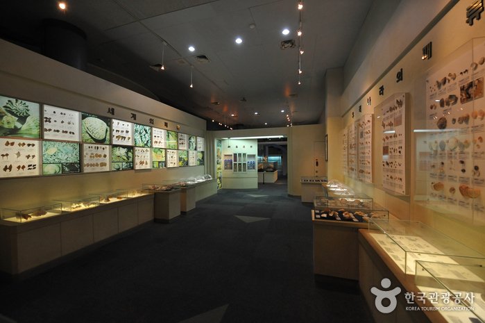[Jeollanam-do] Museo de la Ciencia Marítima de Jeollanam-do (전라남도해양수산과학관)