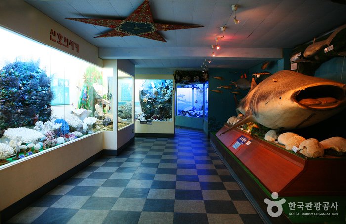 [Jeollanam-do] Museo de Historia Natural y Marina de Ttangkkeut (땅끝해양자연사박물관)