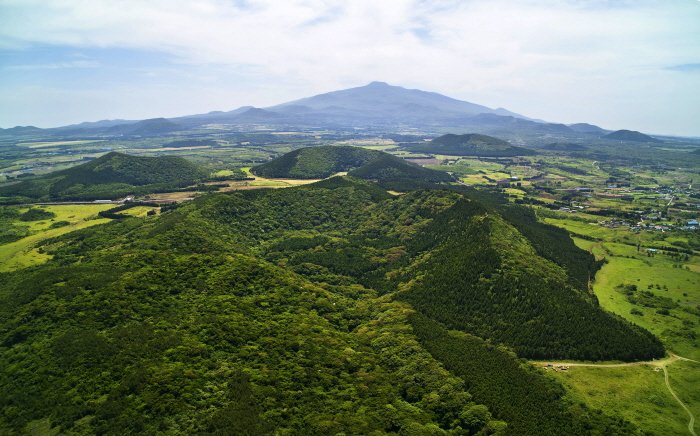 [Jeju] Geomun Oreum (거문오름) [Patrimonio Natural de la Humanidad]