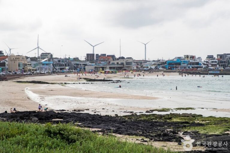 [Jeju] Playa Woljeong (월정리해변)