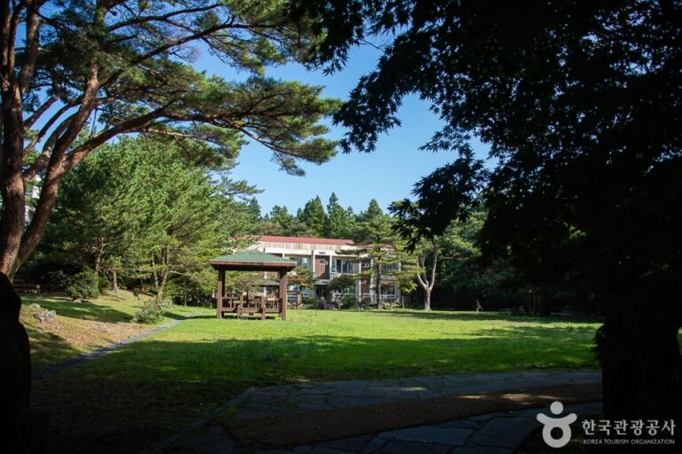 [Jeju] Bosque Recreativo Natural de Seogwipo (서귀포자연휴양림)