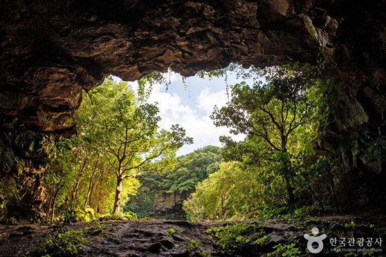 [Jeju] Cueva del Té Verde Seongeup (성읍녹차동굴)