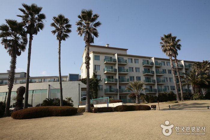 [Jeju] Seogwipo Kensington Resort (켄싱턴리조트 서귀포)
