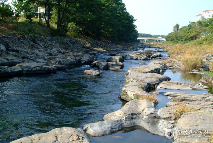 [Jeju] Arroyo Gangjeongcheon (강정천)