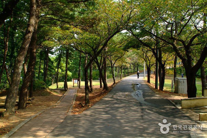 [Jeju] Parque del Pico Sarabong (사라봉공원)