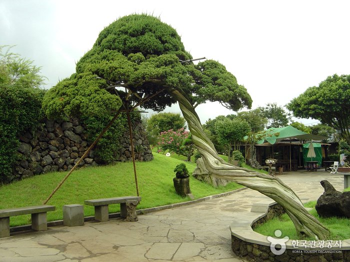 [Jeju] Jardín Spirited (생각하는 정원)