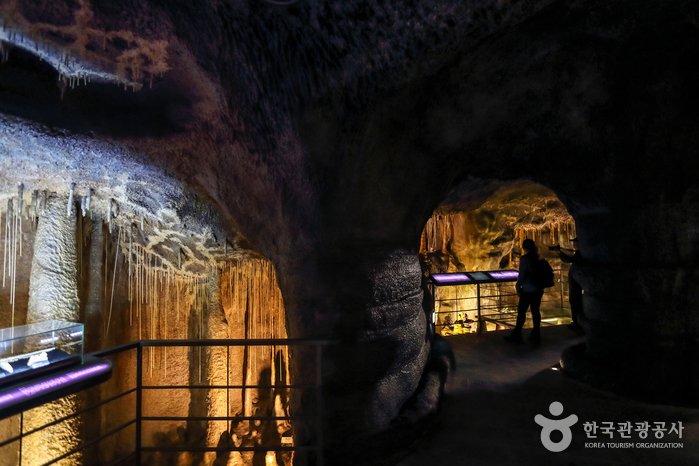 [Jeju] Centro del Patrimonio Natural Mundial de Jeju (제주 세계자연유산센터)