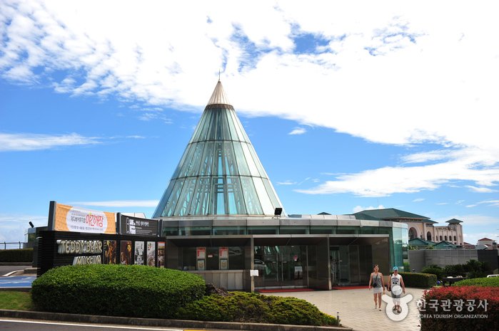 [Jeju] Museo del Teddy Bear de Jeju (테디베어뮤지엄 제주)